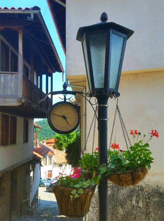 Family Hotel "Slavianska Dusha" Tırnova Dış mekan fotoğraf